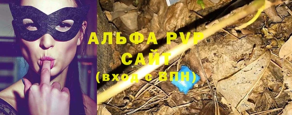 соль ск Алексин